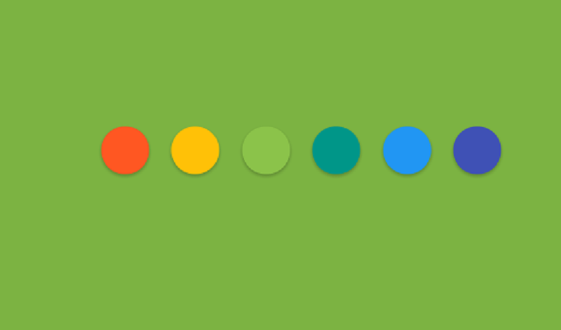 CSS | Radio Buttons Color Selector