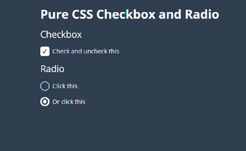 Pure CSS Checkbox and Radio