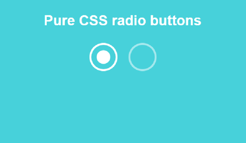 Pure CSS Radio Buttons