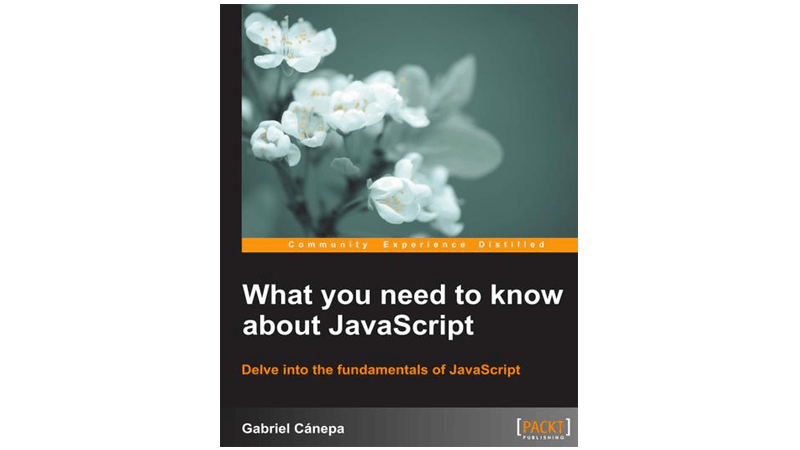 What You Need To Know About JavaScript