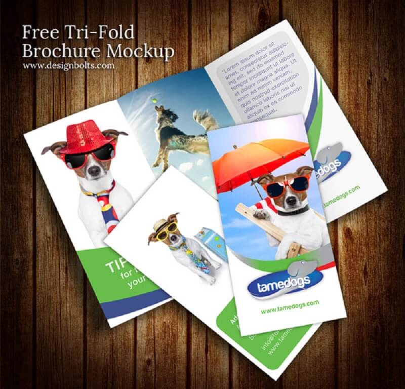  Free Tri Fold Brochure Design Mockup PSD Template