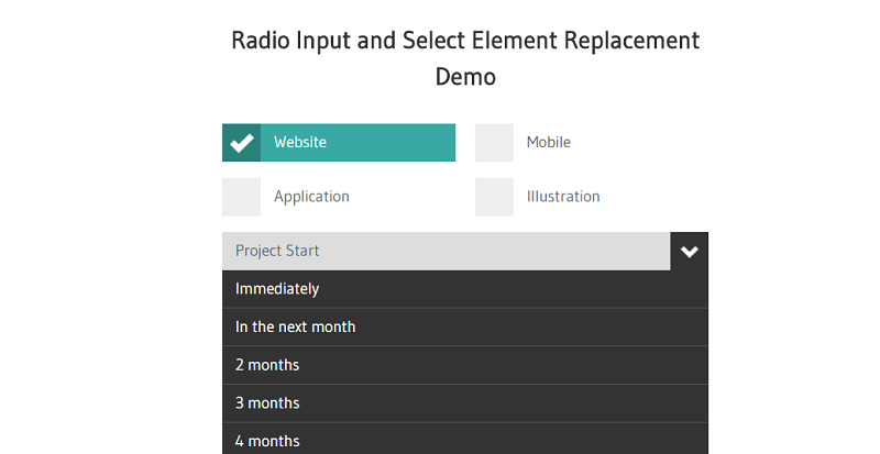 Radio And Select Element Replacement Demo