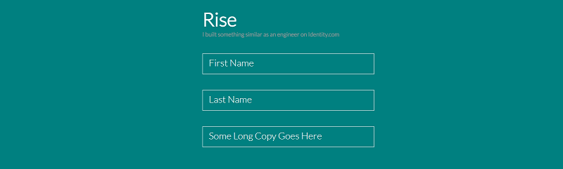 Rise - Input Text Field Label Animation
