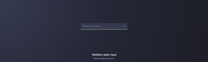 Webflow-style email input