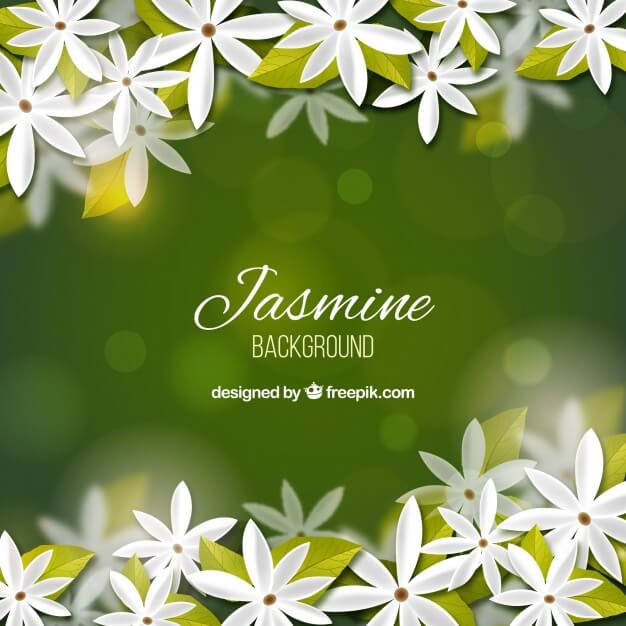 Realistic bokeh background of jasmine
