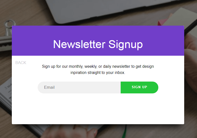 Animated Newsletter Signup Form