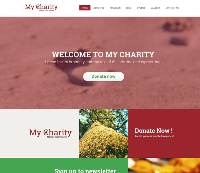 Charity Website Template PSD