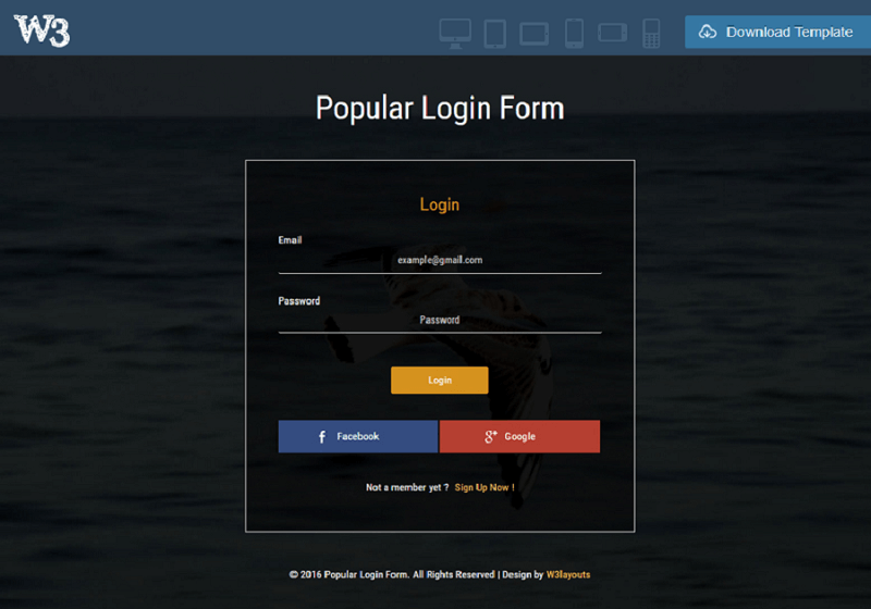 Popular Login Form
