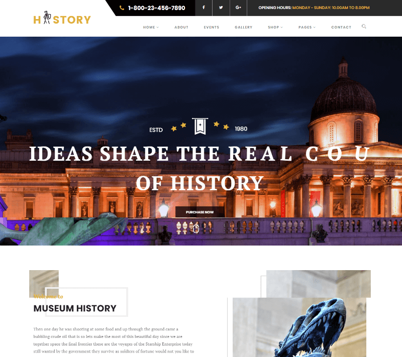 History - Museum & Archeology WordPress Theme