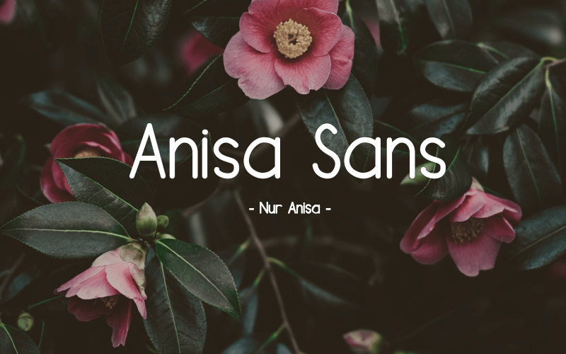 Anisa Sans