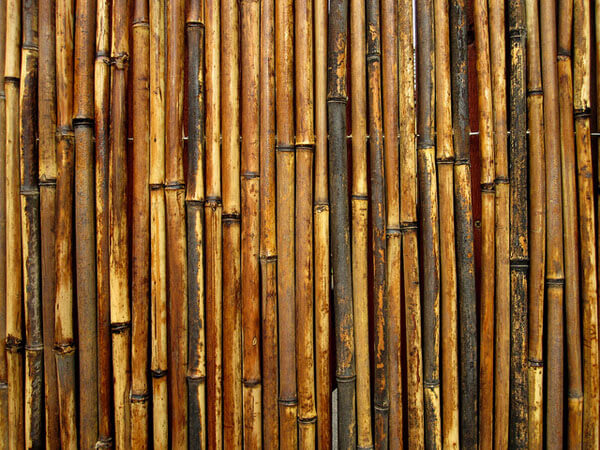Bamboo Gate