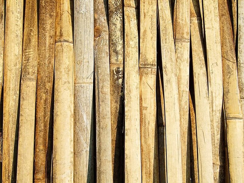 Bamboo texture thailand brown