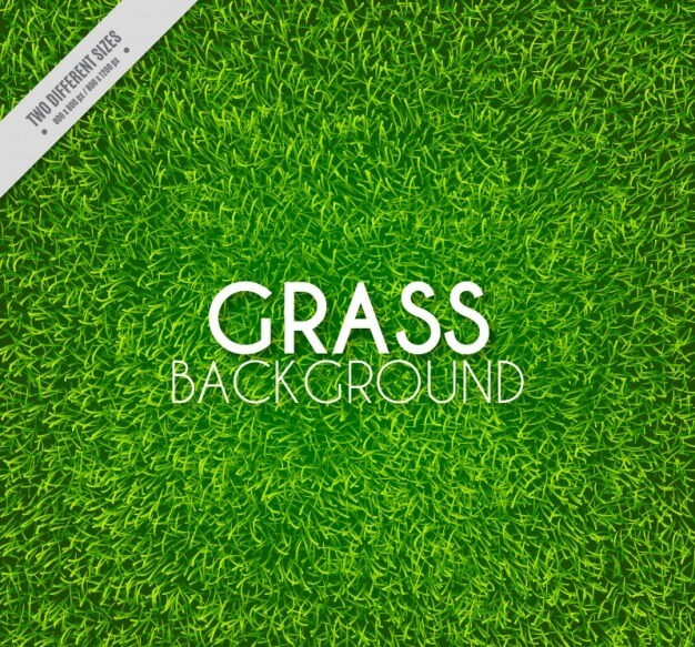 Great background of realistic grass