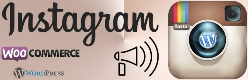 WP Instagram Post And Widget
