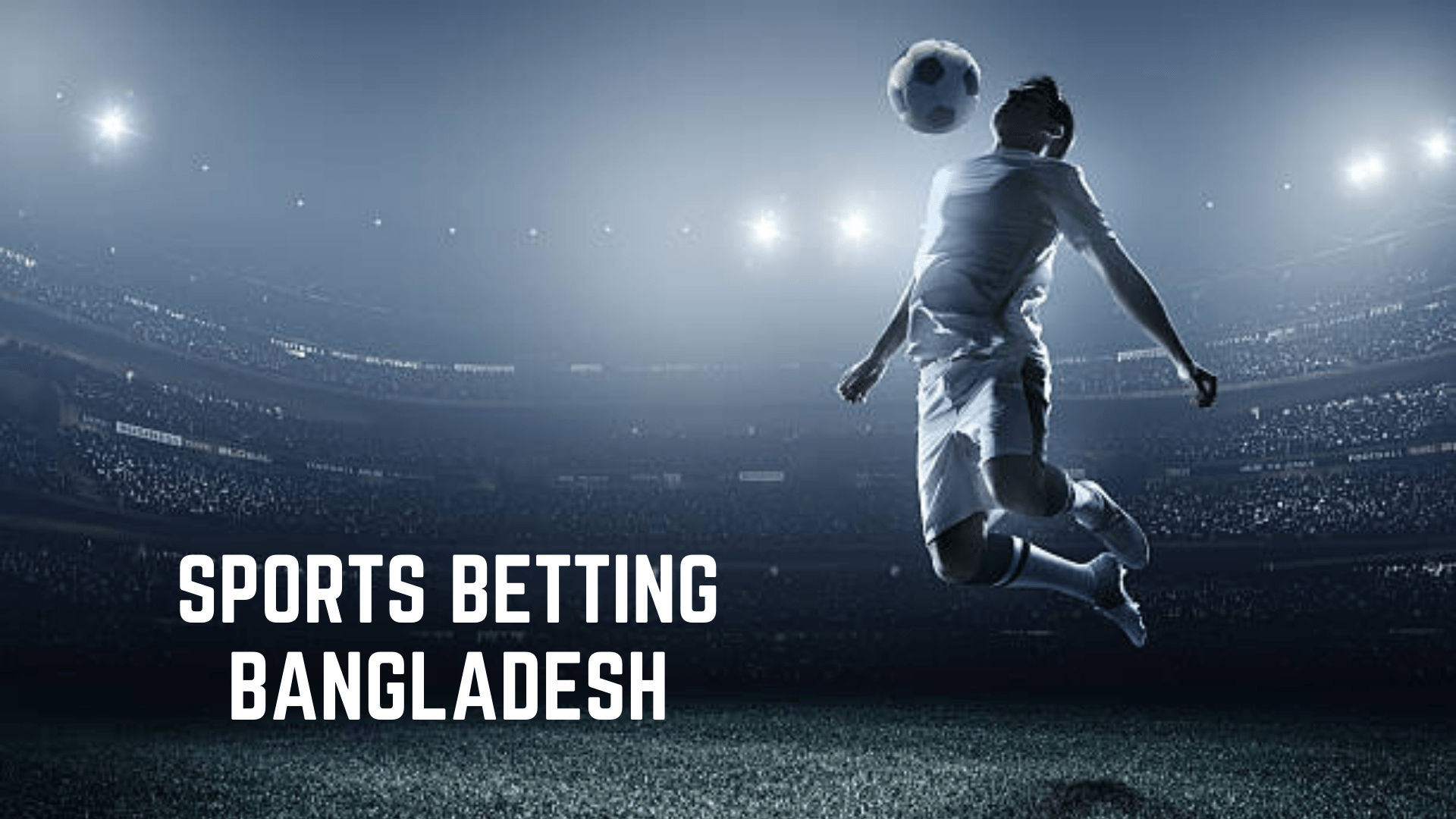 Online Sports Betting In Bangladesh Today Free HTML Designs