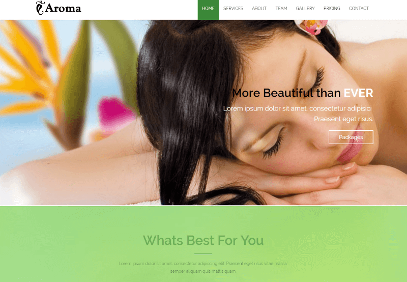 Aroma Beauty and Spa