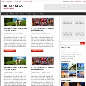 News Website Landing Page