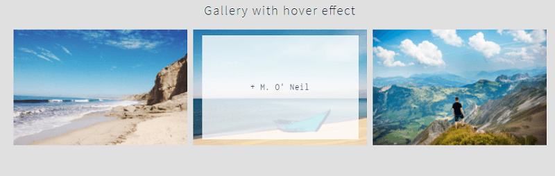 CSS Gallery Hover Effect
