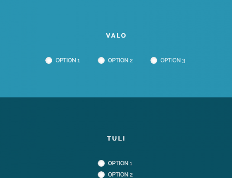 20+ CSS Radio Buttons 2024 Free HTML Designs