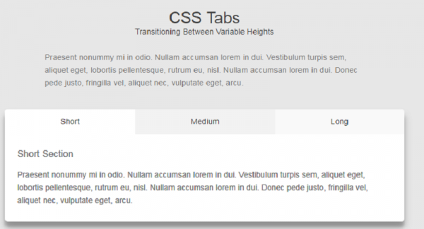 16+ Best CSS Tabs 2024 ------ Free HTML designs
