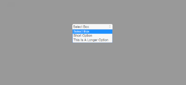 18 Best CSS Select Boxes 2025 Free HTML Designs
