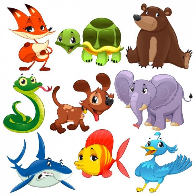 Coloured animals collection