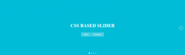 16+ Top CSS CAROUSELS 2024 Free HTML Designs