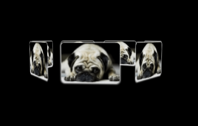 16+ Top CSS CAROUSELS 2024 Free HTML Designs