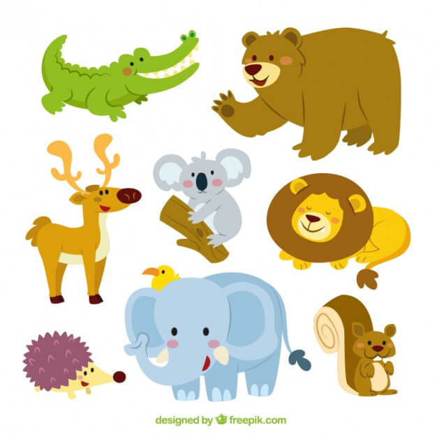 Cute animals collection