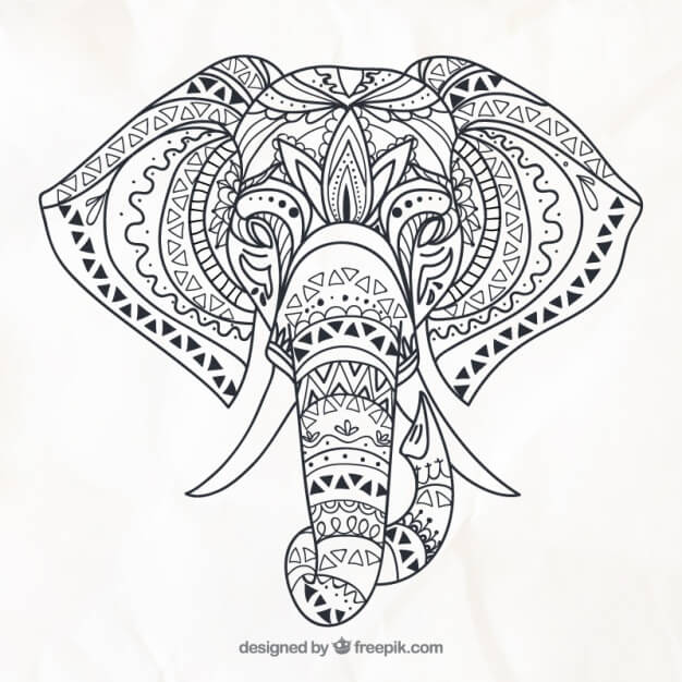 Hand drawn elephant in ethnic style