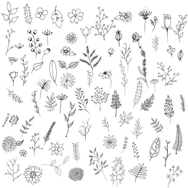 Hand drawn flowers collection