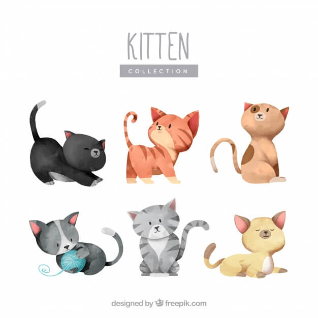 Lovely collection of watercolor kittens