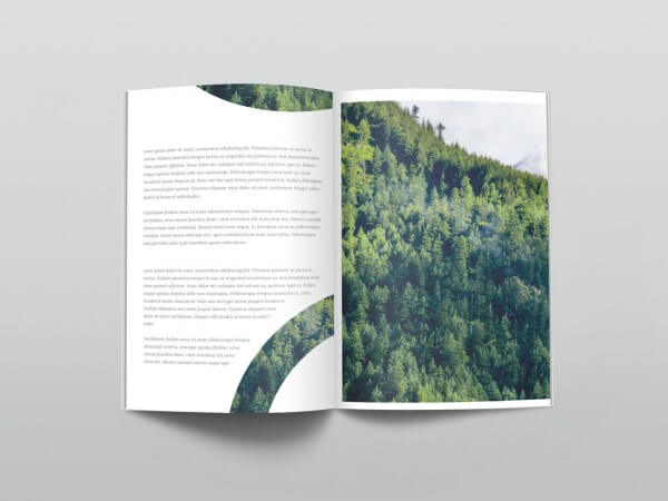 Free Magazine Mockups