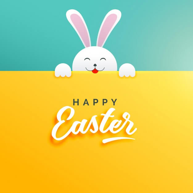 Pretty easter background with a white rabbit