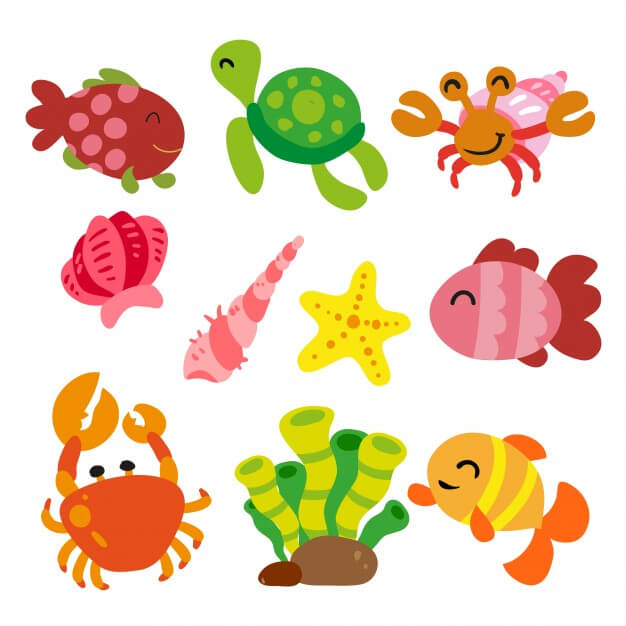 Sea animals collection