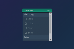 CSS Select Boxes
