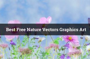 Free Nature Vectors