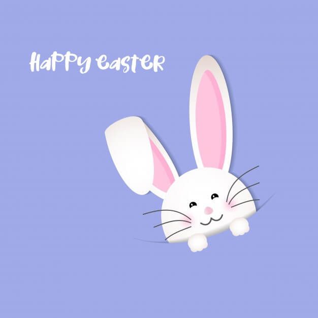 Violet background for easter with a funny rabbit