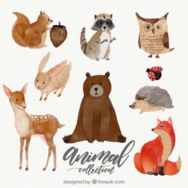 Watercolor set of lovely animals