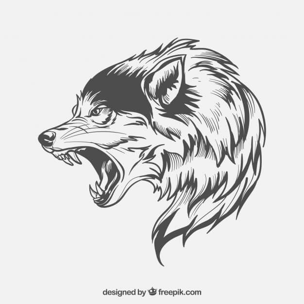 Wolf side-face