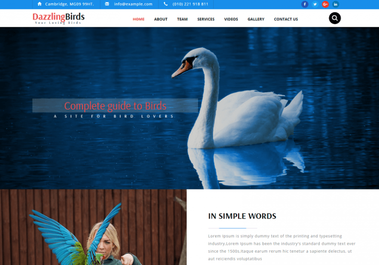 32 Best Free Animals & Pets Html Website Templates 2025