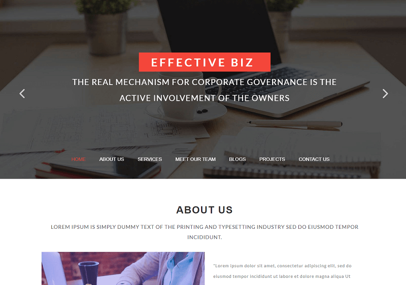 Effective Biz