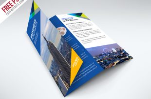 TriFold Business Brochure PSD Templates