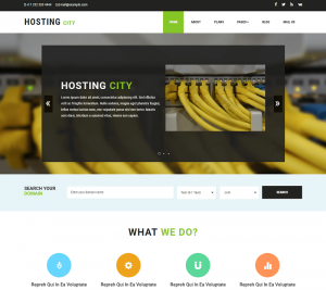23 Best Free Hosting HTML Website Templates In 2024