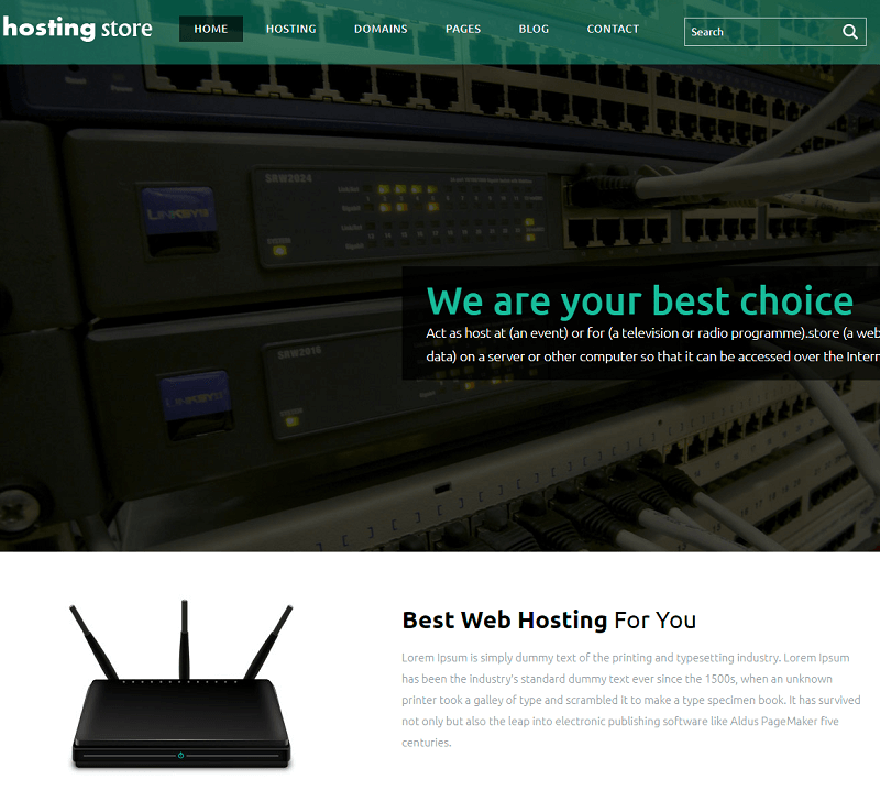 Hosting Store