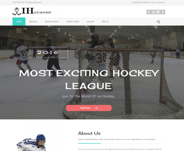 35 Best Free Sports Html Website Templates 2023