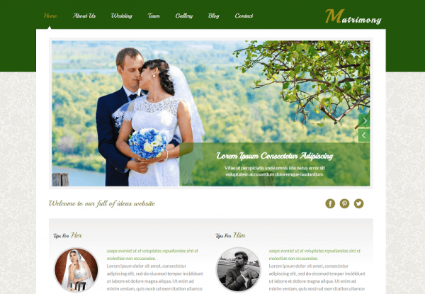 matrimonial website business plan