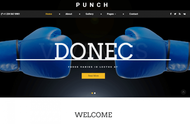 35 Best Free Sports Html Website Templates 2023