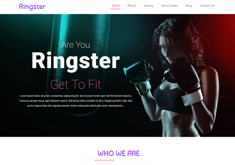35 Best Free Sports Html Website Templates 2024