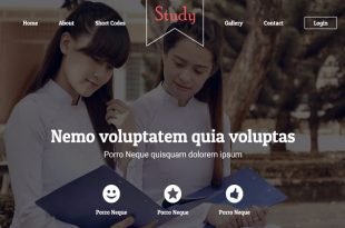 Free Study Html Website Templates